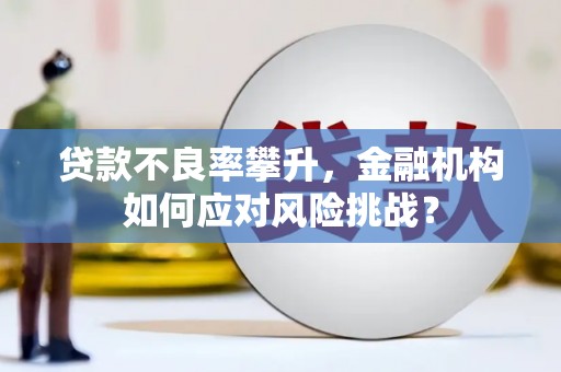石鼓贷款不良率攀升，金融机构如何应对风险挑战？