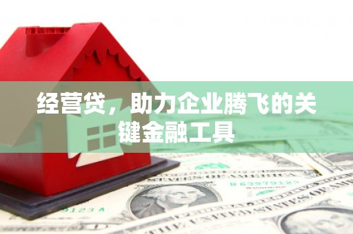 石鼓经营贷，助力企业腾飞的关键金融工具