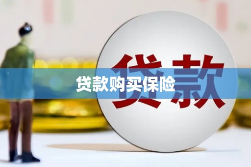 石鼓贷款购买保险