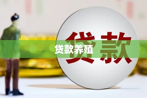 石鼓贷款养殖
