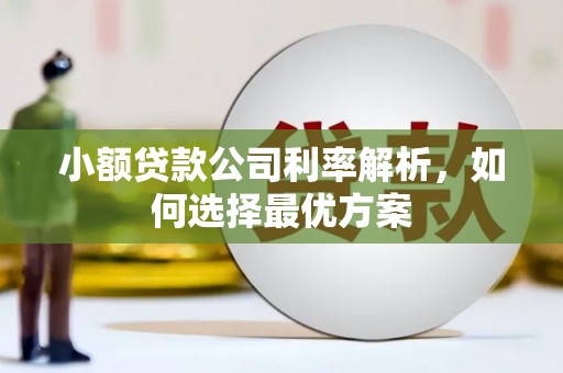 石鼓小额贷款公司利率解析，如何选择最优方案