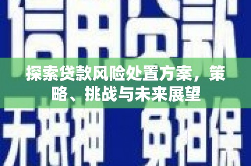 石鼓探索贷款风险处置方案，策略、挑战与未来展望