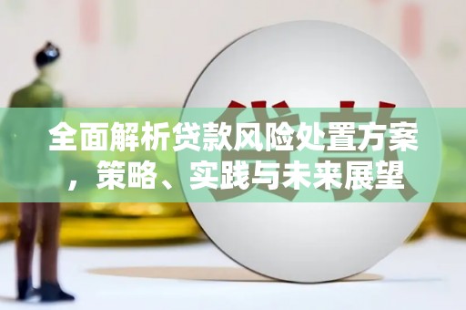 石鼓全面解析贷款风险处置方案，策略、实践与未来展望