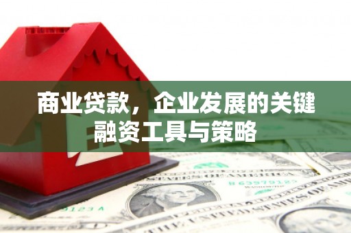石鼓商业贷款，企业发展的关键融资工具与策略