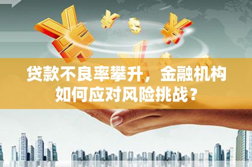 石鼓贷款不良率攀升，金融机构如何应对风险挑战？