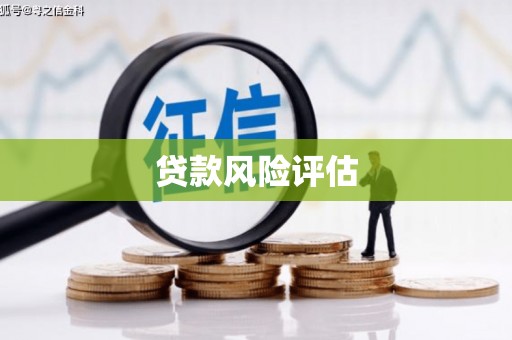 石鼓贷款风险评估