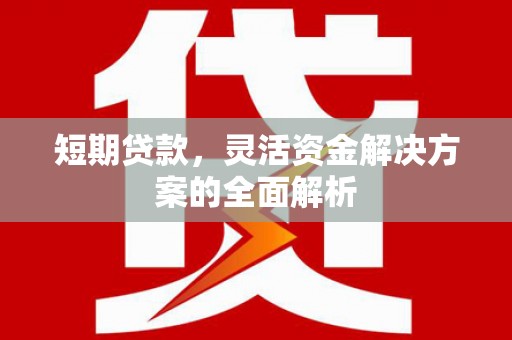 石鼓短期贷款，灵活资金解决方案的全面解析