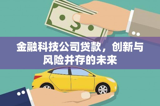 石鼓金融科技公司贷款，创新与风险并存的未来