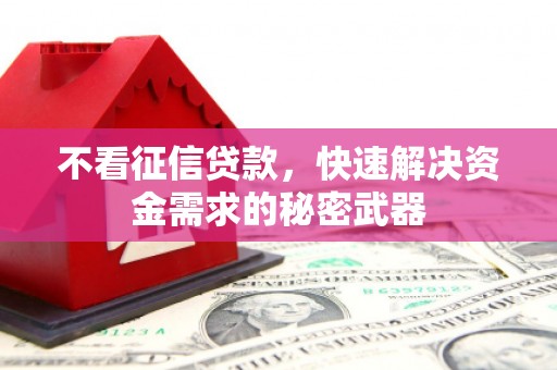 石鼓不看征信贷款，快速解决资金需求的秘密武器