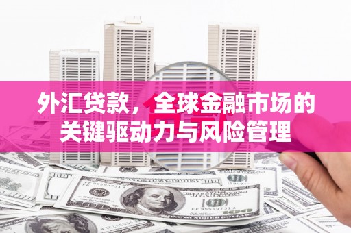 石鼓外汇贷款，全球金融市场的关键驱动力与风险管理