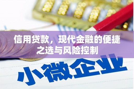 石鼓信用贷款，现代金融的便捷之选与风险控制