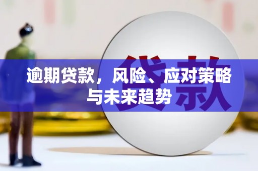 石鼓逾期贷款，风险、应对策略与未来趋势