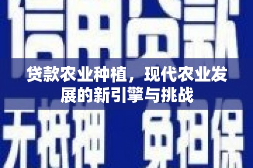 石鼓贷款农业种植，现代农业发展的新引擎与挑战