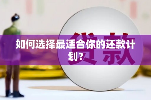 石鼓如何选择最适合你的还款计划？