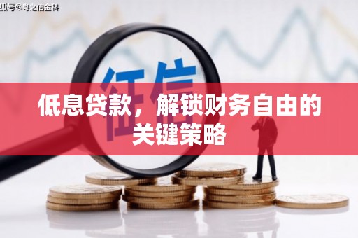 石鼓低息贷款，解锁财务自由的关键策略