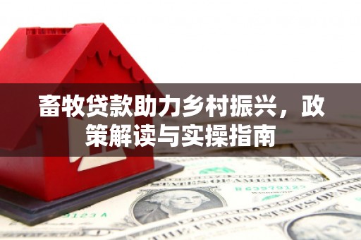 石鼓畜牧贷款助力乡村振兴，政策解读与实操指南