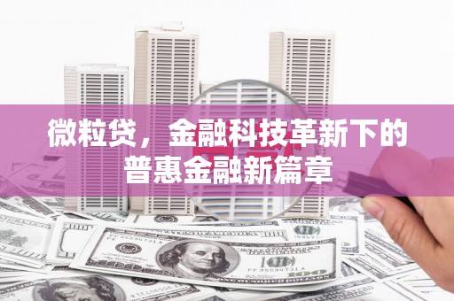 石鼓微粒贷，金融科技革新下的普惠金融新篇章