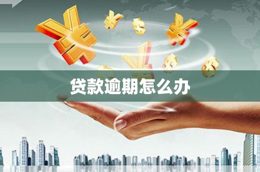 石鼓贷款逾期怎么办