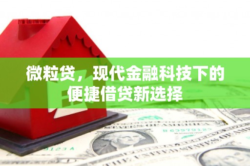 石鼓微粒贷，现代金融科技下的便捷借贷新选择