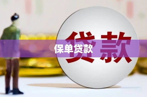 石鼓保单贷款