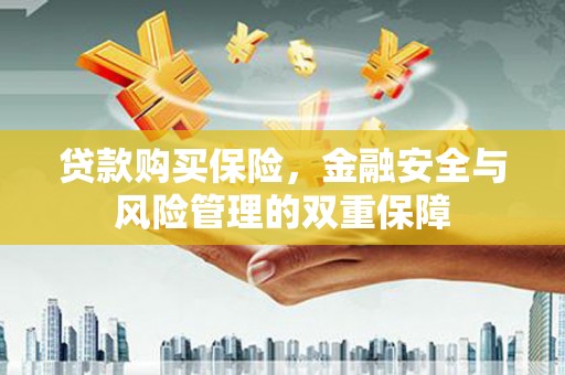 石鼓贷款购买保险，金融安全与风险管理的双重保障