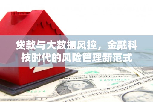 石鼓贷款与大数据风控，金融科技时代的风险管理新范式