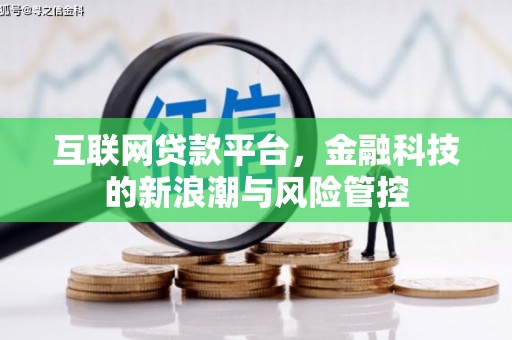 石鼓互联网贷款平台，金融科技的新浪潮与风险管控