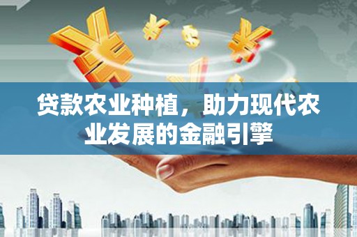 石鼓贷款农业种植，助力现代农业发展的金融引擎