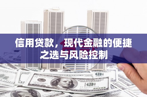 石鼓信用贷款，现代金融的便捷之选与风险控制