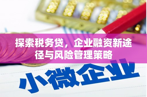 石鼓探索税务贷，企业融资新途径与风险管理策略