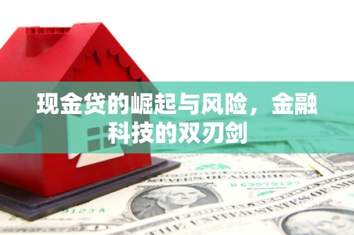 石鼓现金贷的崛起与风险，金融科技的双刃剑
