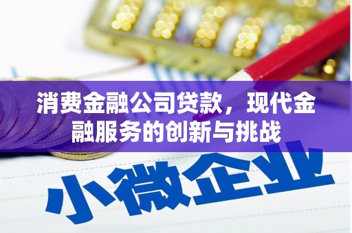 石鼓消费金融公司贷款，现代金融服务的创新与挑战