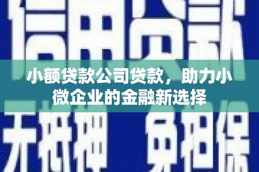 石鼓小额贷款公司贷款，助力小微企业的金融新选择