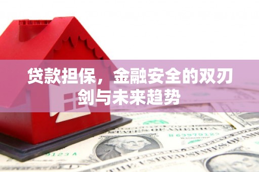 石鼓贷款担保，金融安全的双刃剑与未来趋势