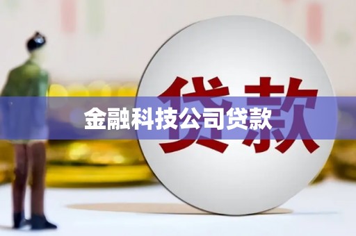 石鼓金融科技公司贷款