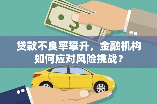 石鼓贷款不良率攀升，金融机构如何应对风险挑战？