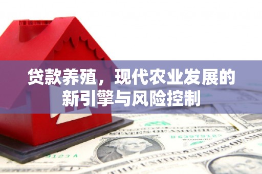 石鼓贷款养殖，现代农业发展的新引擎与风险控制