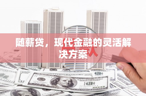 石鼓随薪贷，现代金融的灵活解决方案