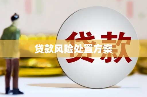 石鼓贷款风险处置方案