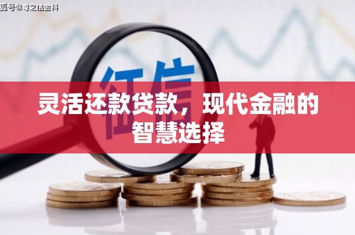 石鼓灵活还款贷款，现代金融的智慧选择