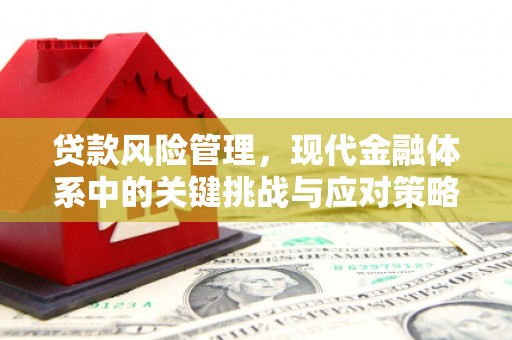 石鼓贷款风险管理，现代金融体系中的关键挑战与应对策略