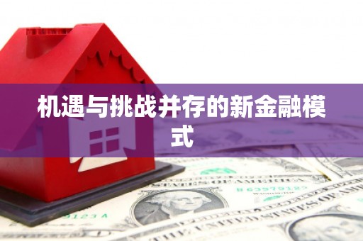 石鼓机遇与挑战并存的新金融模式