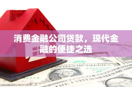 石鼓消费金融公司贷款，现代金融的便捷之选