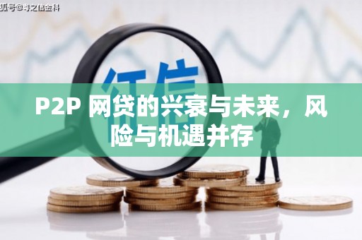 石鼓P2P 网贷的兴衰与未来，风险与机遇并存