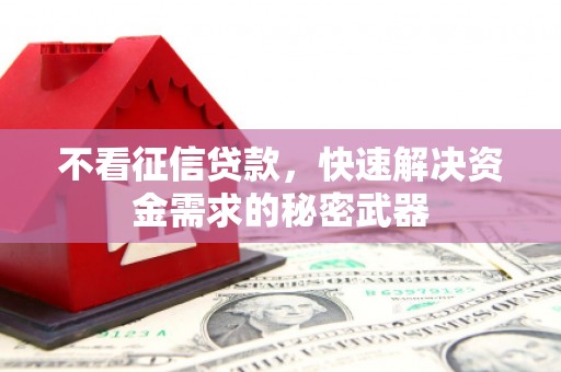 石鼓不看征信贷款，快速解决资金需求的秘密武器