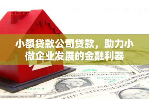 石鼓小额贷款公司贷款，助力小微企业发展的金融利器