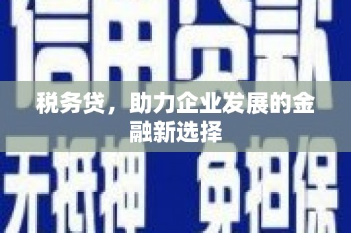石鼓税务贷，助力企业发展的金融新选择