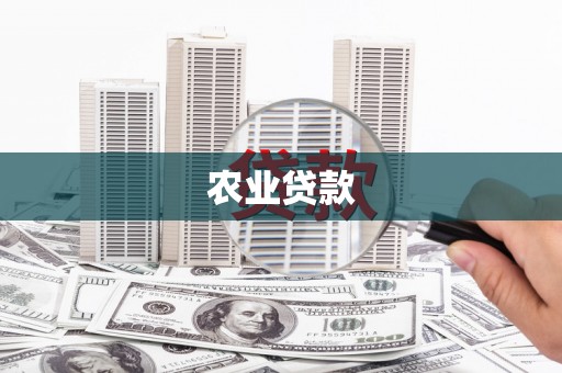 石鼓农业贷款