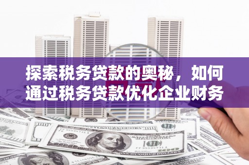 石鼓探索税务贷款的奥秘，如何通过税务贷款优化企业财务