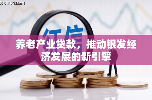 石鼓养老产业贷款，推动银发经济发展的新引擎
